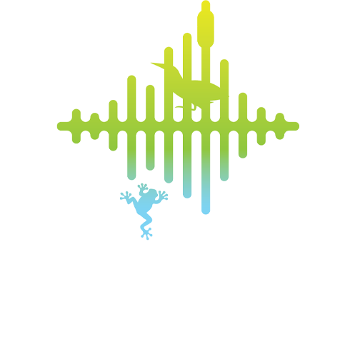 Eavesdropping on wetland birds